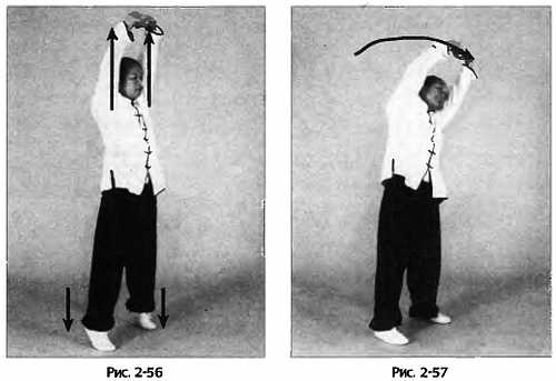 Иллюстрация к книге — Цигун для здоровья и боевых искусств. Полный практический курс [_57.jpg]