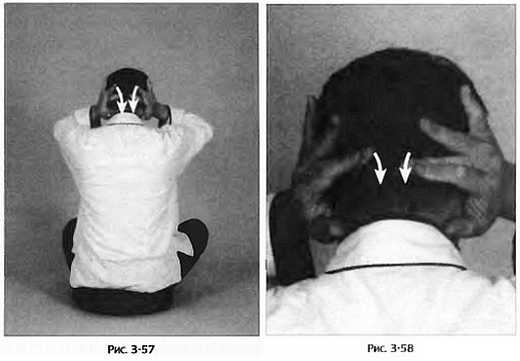 Иллюстрация к книге — Цигун для здоровья и боевых искусств. Полный практический курс [_58.jpg]