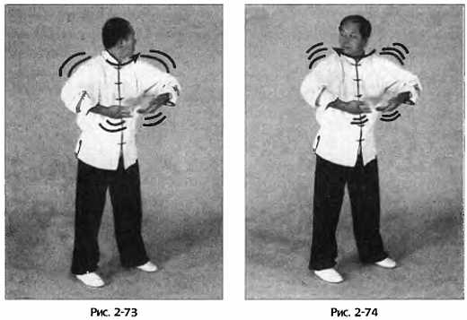 Иллюстрация к книге — Цигун для здоровья и боевых искусств. Полный практический курс [_74.jpg]