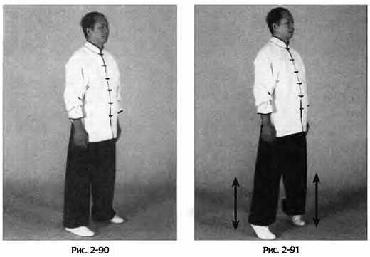 Иллюстрация к книге — Цигун для здоровья и боевых искусств. Полный практический курс [_91.jpg]