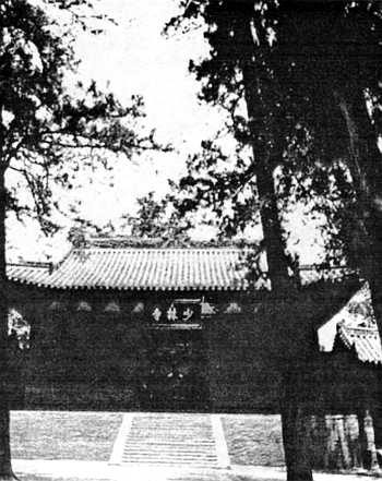 Иллюстрация к книге — Цигун. Изменения мышц и сухожилий промывания костного и головного мозга. Секреты молодости [_01.jpg]