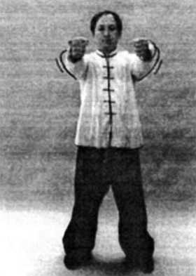 Иллюстрация к книге — Цигун. Изменения мышц и сухожилий промывания костного и головного мозга. Секреты молодости [_102.jpg]