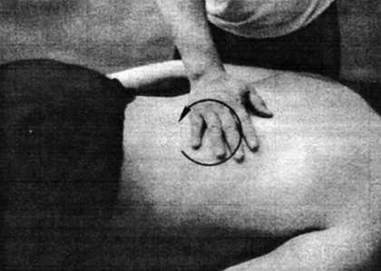 Иллюстрация к книге — Цигун. Изменения мышц и сухожилий промывания костного и головного мозга. Секреты молодости [_28.jpg]