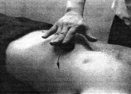 Иллюстрация к книге — Цигун. Изменения мышц и сухожилий промывания костного и головного мозга. Секреты молодости [_31.jpg]