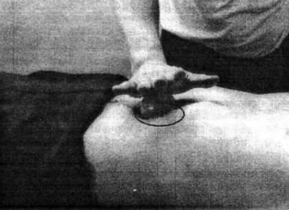 Иллюстрация к книге — Цигун. Изменения мышц и сухожилий промывания костного и головного мозга. Секреты молодости [_32.jpg]