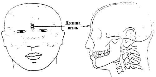Иллюстрация к книге — Цигун. Изменения мышц и сухожилий промывания костного и головного мозга. Секреты молодости [_34.jpg]