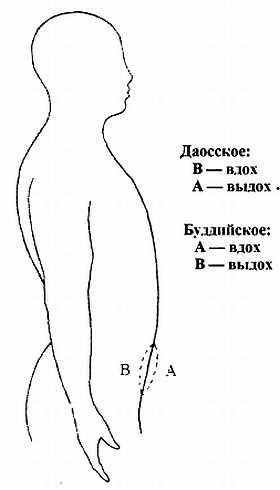 Иллюстрация к книге — Цигун. Изменения мышц и сухожилий промывания костного и головного мозга. Секреты молодости [_35.jpg]