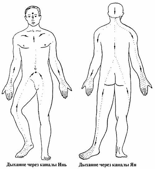 Иллюстрация к книге — Цигун. Изменения мышц и сухожилий промывания костного и головного мозга. Секреты молодости [_40.jpg]