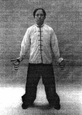 Иллюстрация к книге — Цигун. Изменения мышц и сухожилий промывания костного и головного мозга. Секреты молодости [_53.jpg]