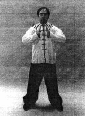 Иллюстрация к книге — Цигун. Изменения мышц и сухожилий промывания костного и головного мозга. Секреты молодости [_56.jpg]