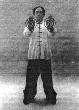 Иллюстрация к книге — Цигун. Изменения мышц и сухожилий промывания костного и головного мозга. Секреты молодости [_66.jpg]