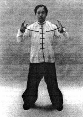 Иллюстрация к книге — Цигун. Изменения мышц и сухожилий промывания костного и головного мозга. Секреты молодости [_69.jpg]