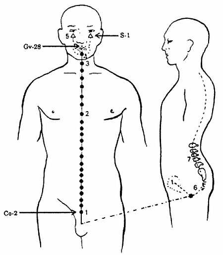 Иллюстрация к книге — Цигун. Изменения мышц и сухожилий промывания костного и головного мозга. Секреты молодости [_72.jpg]