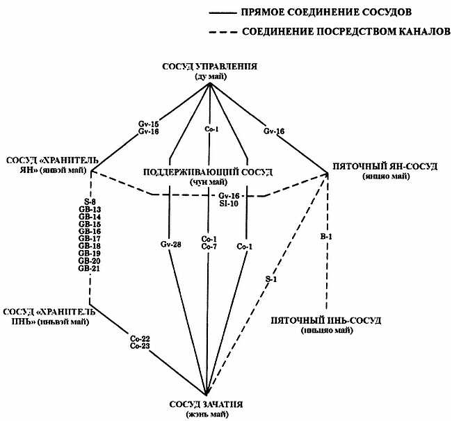 Иллюстрация к книге — Цигун. Изменения мышц и сухожилий промывания костного и головного мозга. Секреты молодости [_77.jpg]