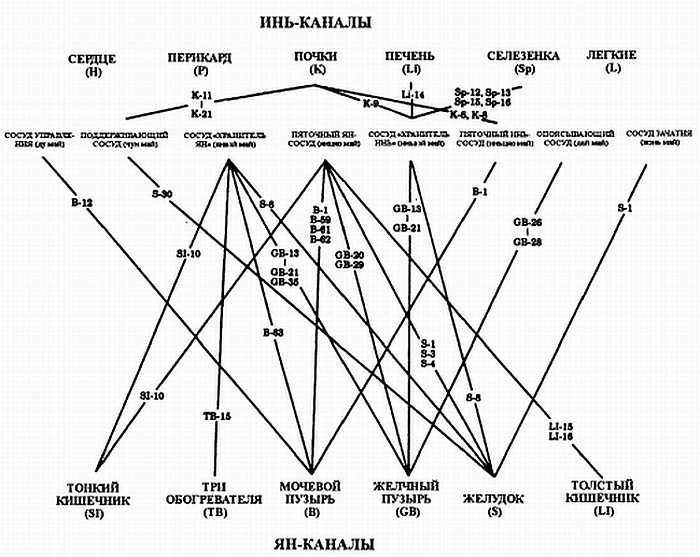 Иллюстрация к книге — Цигун. Изменения мышц и сухожилий промывания костного и головного мозга. Секреты молодости [_78.jpg]
