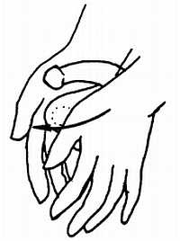 Иллюстрация к книге — Цигун. Изменения мышц и сухожилий промывания костного и головного мозга. Секреты молодости [_85.jpg]