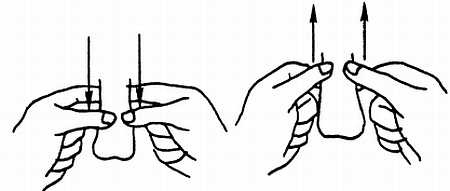 Иллюстрация к книге — Цигун. Изменения мышц и сухожилий промывания костного и головного мозга. Секреты молодости [_87.jpg]