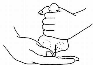 Иллюстрация к книге — Цигун. Изменения мышц и сухожилий промывания костного и головного мозга. Секреты молодости [_90.jpg]