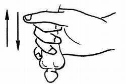 Иллюстрация к книге — Цигун. Изменения мышц и сухожилий промывания костного и головного мозга. Секреты молодости [_94.jpg]