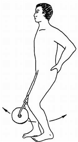 Иллюстрация к книге — Цигун. Изменения мышц и сухожилий промывания костного и головного мозга. Секреты молодости [_95.jpg]