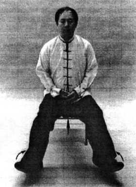 Иллюстрация к книге — Цигун. Изменения мышц и сухожилий промывания костного и головного мозга. Секреты молодости [_97.jpg]