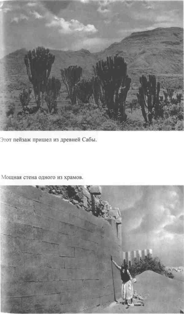 Иллюстрация к книге — Повседневная жизнь Аравии Счастливой времен царицы Савской. VIII век до н.э. - I век н.э. [i_009.jpg]