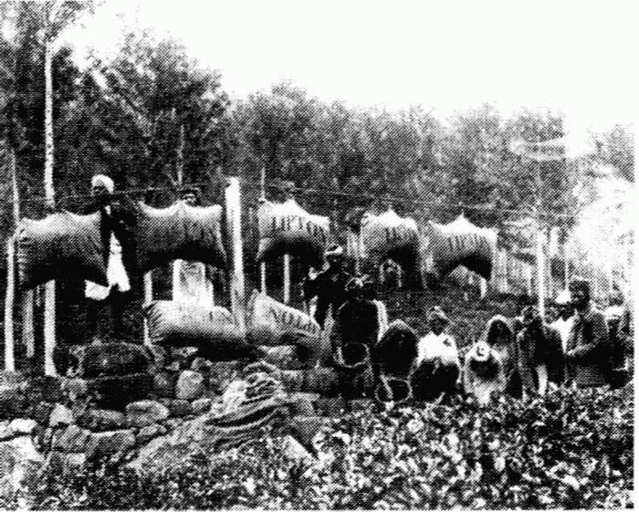 Иллюстрация к книге — Упадок и разрушение Британской империи 1781-1997 [i_012.jpg]