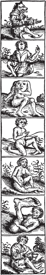 Иллюстрация к книге — История географических карт [i_019.jpg]