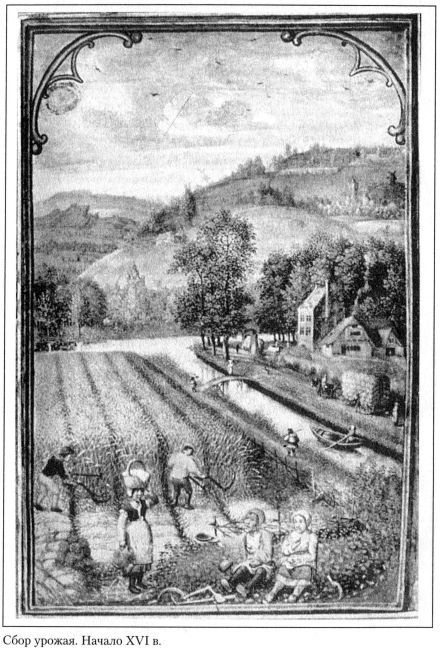 Иллюстрация к книге — От нашествия варваров до эпохи Возрождения. Жизнь и труд в средневековой Европе [i_009.jpg]