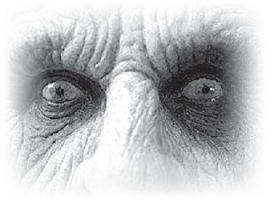 Иллюстрация к книге — Когда зомби оживают... Призрачная магия Черного континента [_10.jpg]