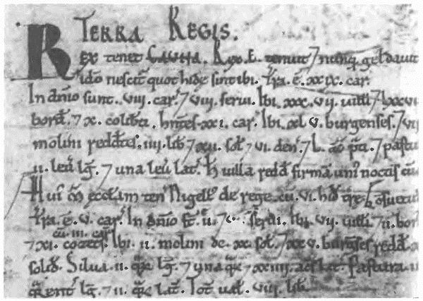 Иллюстрация к книге — Саксонские и нормандские короли. 450-1154 гг. [i_015.jpg]