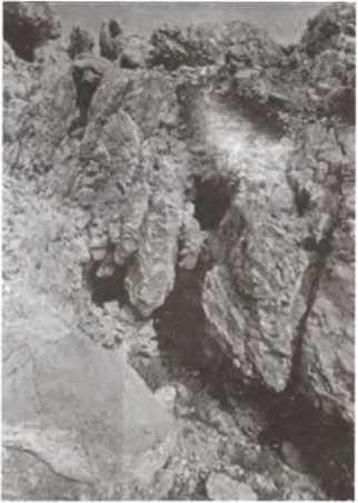 Иллюстрация к книге — Свитки Мертвого моря. Долгий путь к разгадке [i_003.jpg]