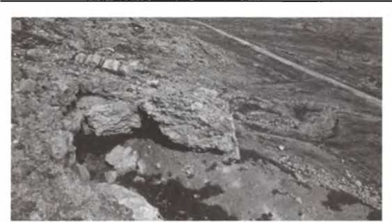 Иллюстрация к книге — Свитки Мертвого моря. Долгий путь к разгадке [i_009.jpg]