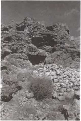 Иллюстрация к книге — Свитки Мертвого моря. Долгий путь к разгадке [i_010.jpg]