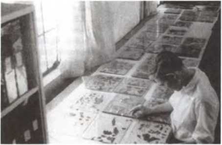 Иллюстрация к книге — Свитки Мертвого моря. Долгий путь к разгадке [i_012.jpg]