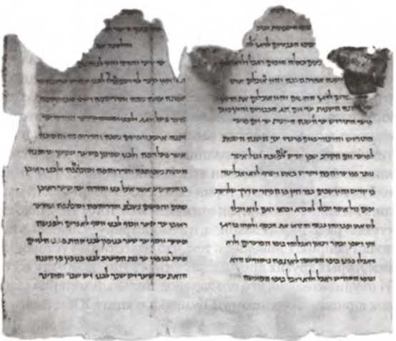 Иллюстрация к книге — Свитки Мертвого моря. Долгий путь к разгадке [i_024.jpg]