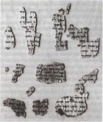 Иллюстрация к книге — Свитки Мертвого моря. Долгий путь к разгадке [i_028.jpg]