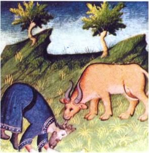 Иллюстрация к книге — Тамплиеры. История и легенды [pic_12.jpg]