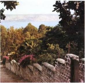 Иллюстрация к книге — Тамплиеры. История и легенды [pic_24.jpg]