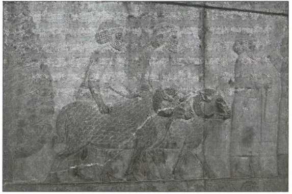 Иллюстрация к книге — Загадки старой Персии [i_014.jpg]