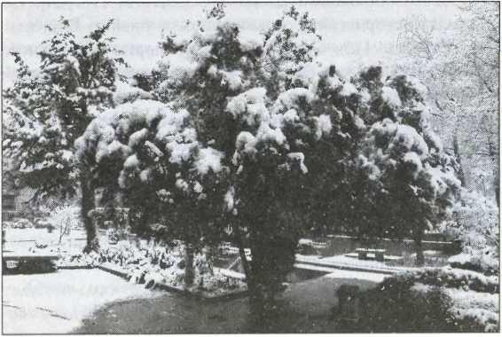 Иллюстрация к книге — Загадки старой Персии [i_050.jpg]