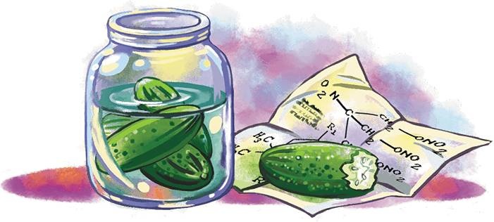 Иллюстрация к книге — Кефир, Гаврош и Рикошет. Шанхайский сувенир [_18.jpg]