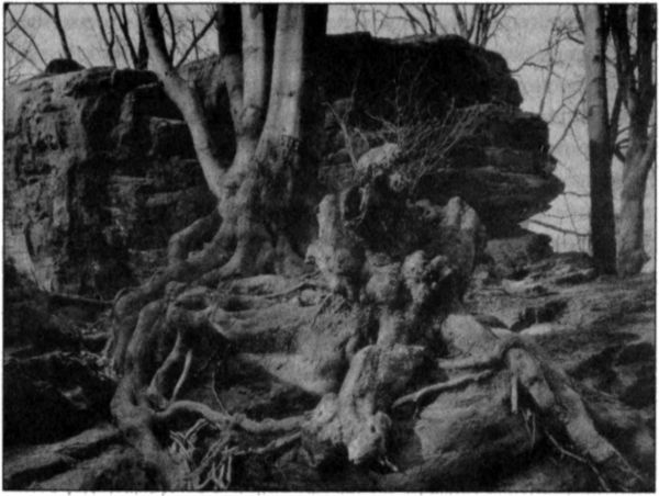 Иллюстрация к книге — Стоунхендж Третьего рейха [i_016.jpg]