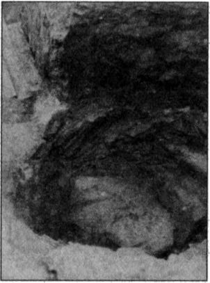 Иллюстрация к книге — Стоунхендж Третьего рейха [i_040.jpg]