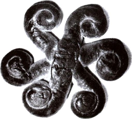 Иллюстрация к книге — Руны. Обряды и наследие предков [i_019.jpg]