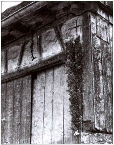 Иллюстрация к книге — Руны. Обряды и наследие предков [i_033.jpg]