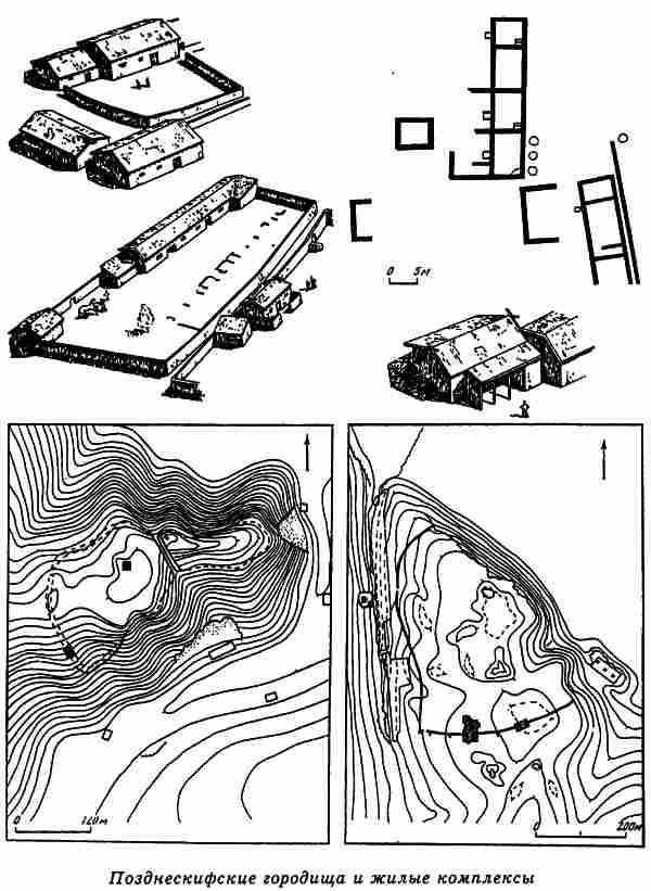 Иллюстрация к книге — Русы Великой Скифии [i_064.jpg]