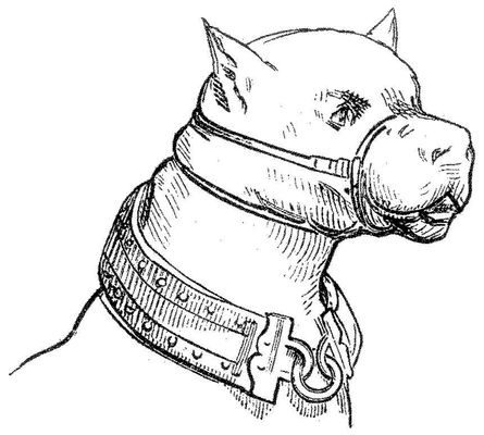 Иллюстрация к книге — Жизнь и развлечения в средние века [_094.jpg]