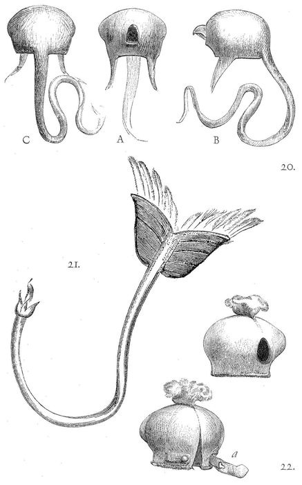 Иллюстрация к книге — Жизнь и развлечения в средние века [_103.jpg]
