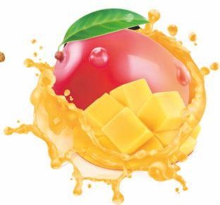 Иллюстрация к книге — Vegan Life. Счастье легким путем. Главный тренд XXI века [i_022.jpg]